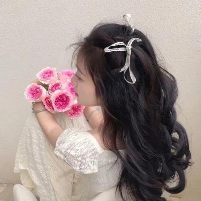 情系洛川红苹果
