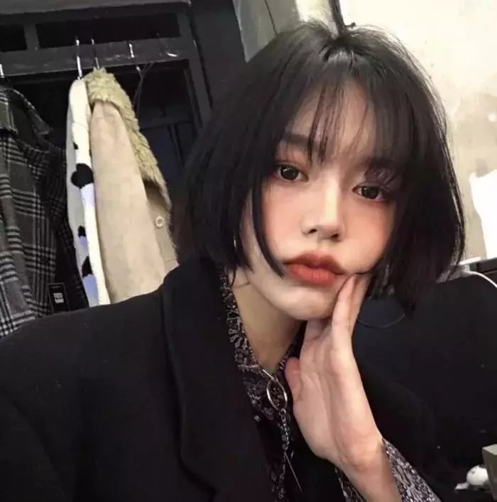 合子异种